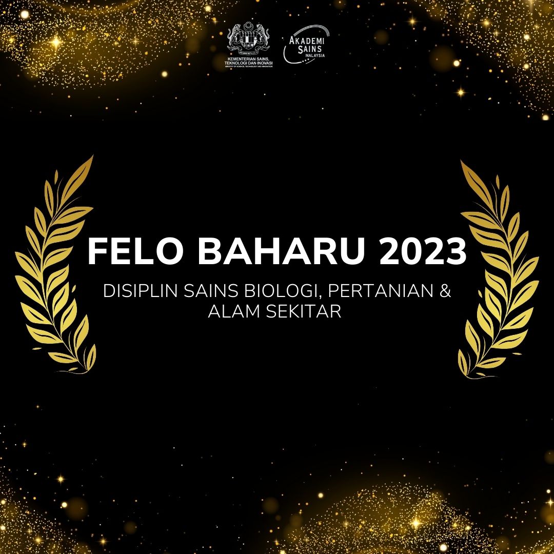 felo baharu asm