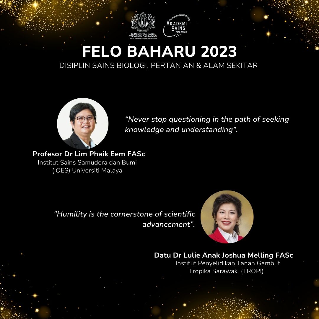 felo baharu asm