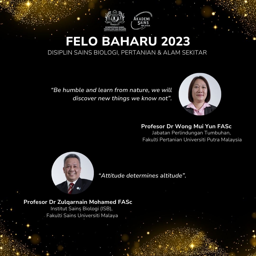 felo baharu asm