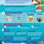 infog - gamat emas (EN)