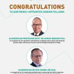 senior fellows, 2025