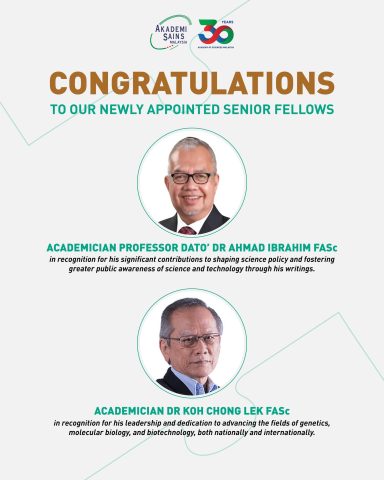 senior fellows, 2025