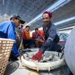 blue economy, Fisheries, Aquaculture, Shipping, Maritime Transport Services, Coastal tourism, Maritime Tourism, Blue Renewable Energy, Marine Biotechnology, Bioprospecting, Extractive Industries of Non-living Resources, Desalination