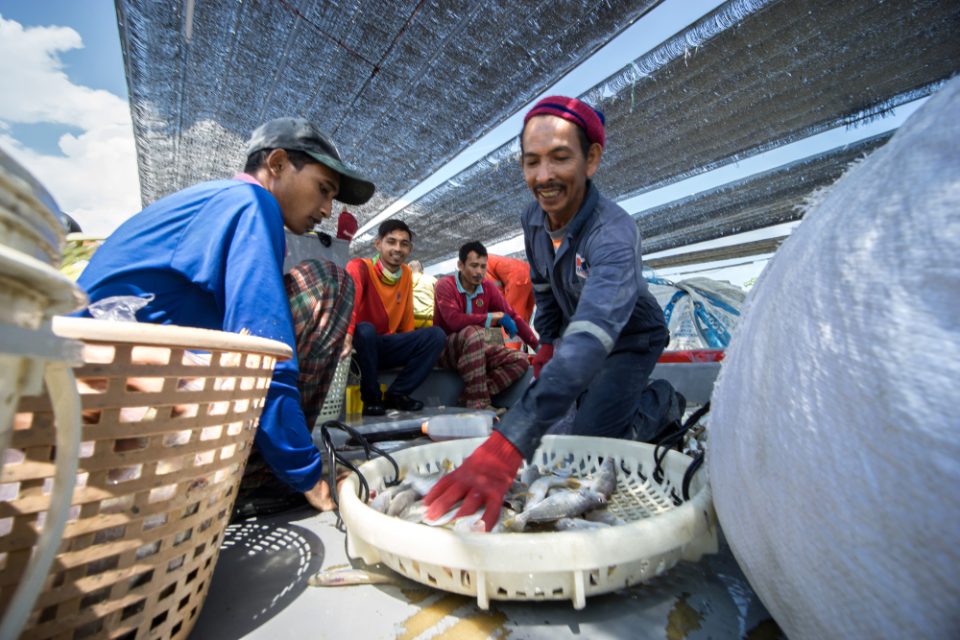 blue economy, Fisheries, Aquaculture, Shipping, Maritime Transport Services, Coastal tourism, Maritime Tourism, Blue Renewable Energy, Marine Biotechnology, Bioprospecting, Extractive Industries of Non-living Resources, Desalination